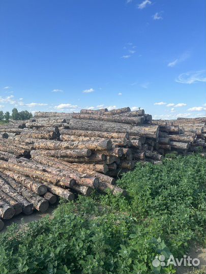 Столбики