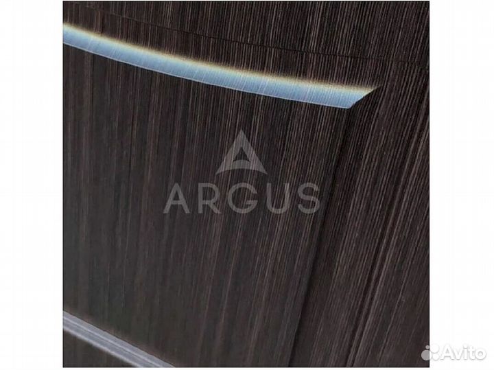 Входная дверь в квартиру Argus