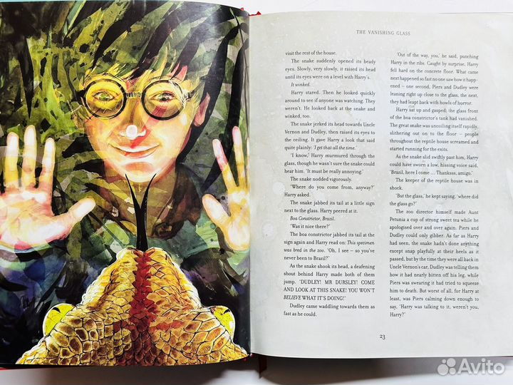 Hary Potter Bloomsbury Illustrated by Jim Kay