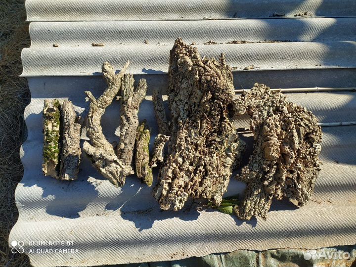 Кора пробкового дуба