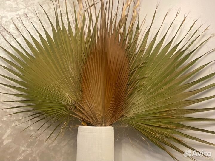 Сухоцветы для декора