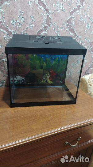 Аквариум