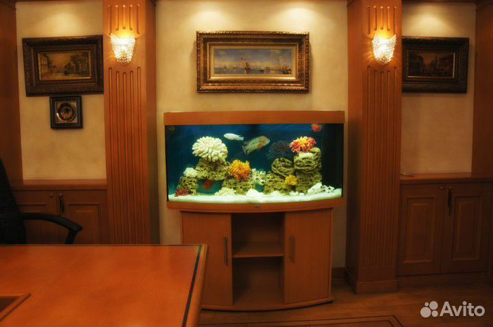 Обслужу и оформлю аквариумы