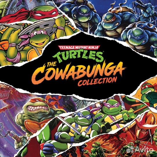 Teenage Mutant Ninja Turtles: The Cowabunga