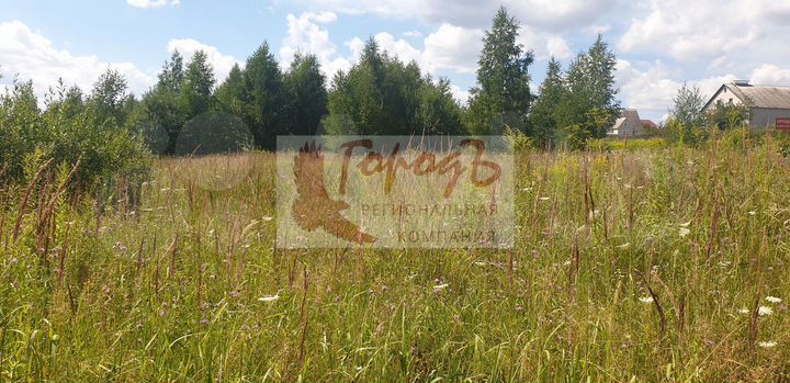 Участок 10 сот. (ИЖС)