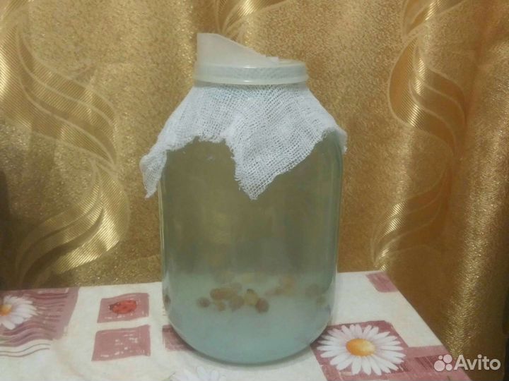 Индийский морской рис Цена за 1ст.л