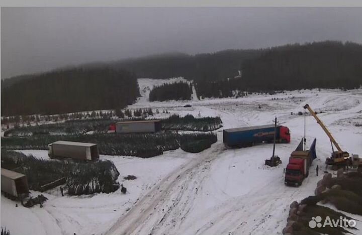 Елка Ель Новогодняя оптом