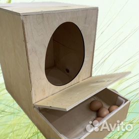 Делаем гнездо для кур несушек с яйцесборником своими руками: инструкция и фото