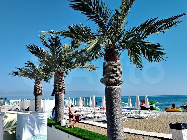 Комната 45 м², 1/3 эт.