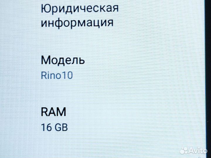 Rino 10