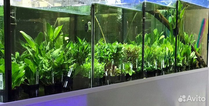 Аквариум каскад 700 литров