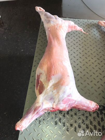 Туша молодого ягненка