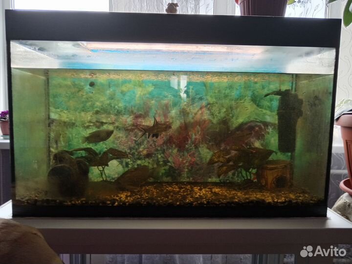 Аквариум с рыбками бу