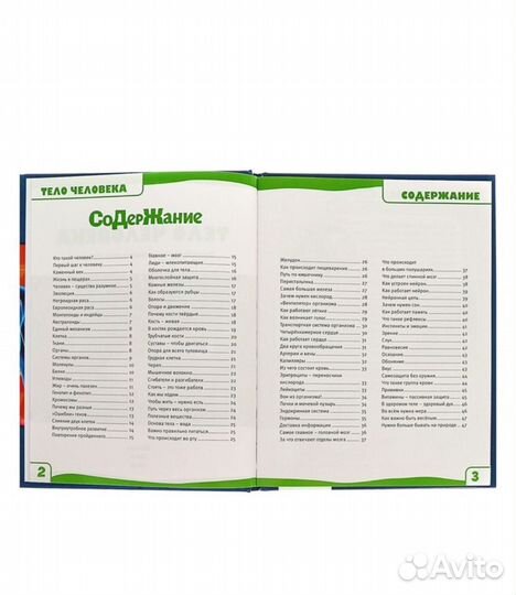 Анатомия тело человека