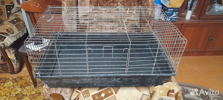 Клетки разных размеров