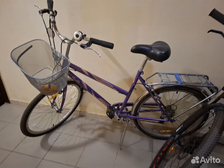 Navigator 250 Lady 26 Z010 (2019)