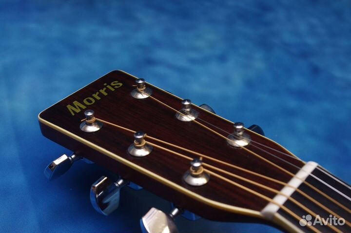 Акустическая гитара Morris W-25. Japan