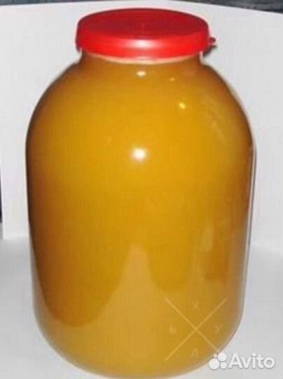 Продам мед цветочный и донниковый