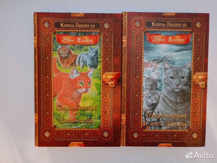 Коты воители