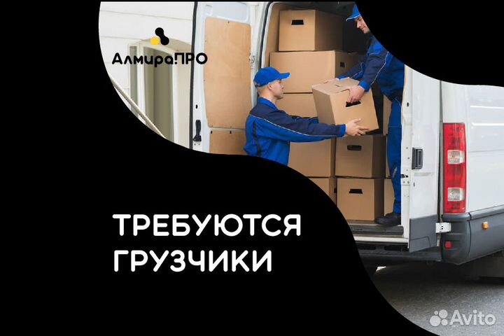 Грузчики. Выплаты каждый день