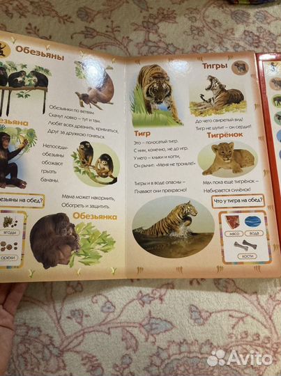 Говорящая книга