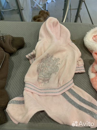 Одежда для собак