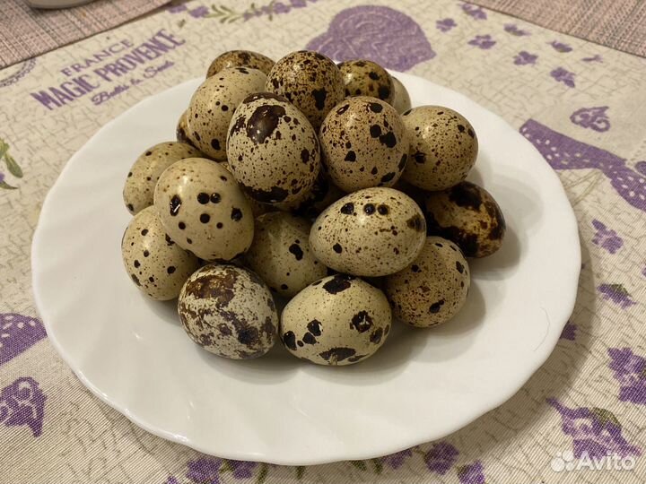 Мясо перепелов Техасский гигант