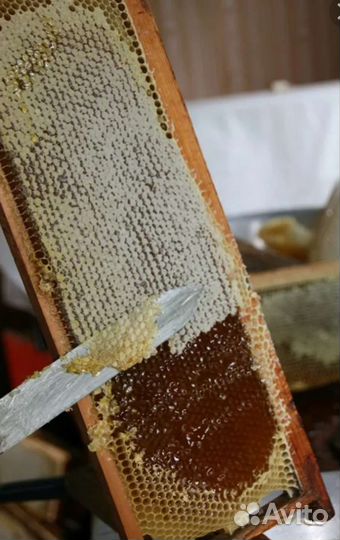 Мед в сотах на рамке