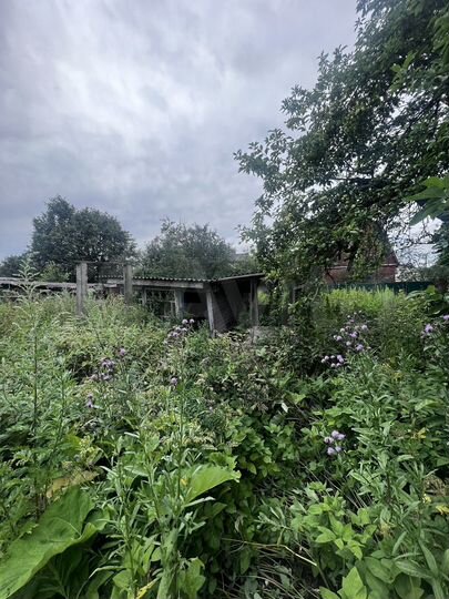 Дом 48,8 м² на участке 17 сот.