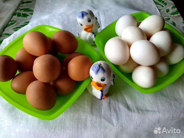 Яйцо куриное