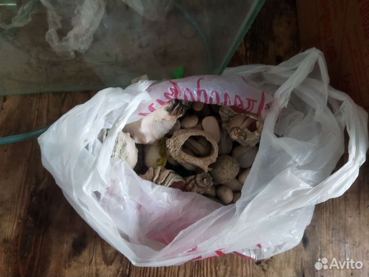 Аквариумы и комплектующие