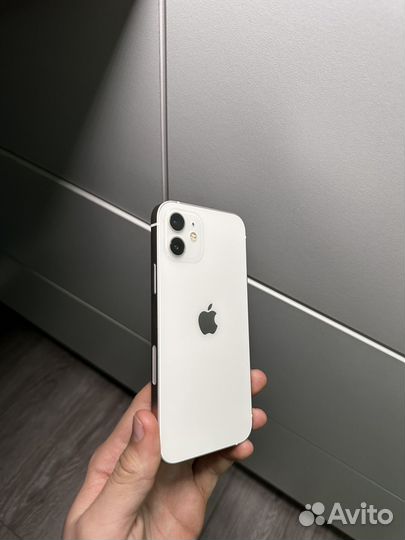 iPhone 12, 256 ГБ
