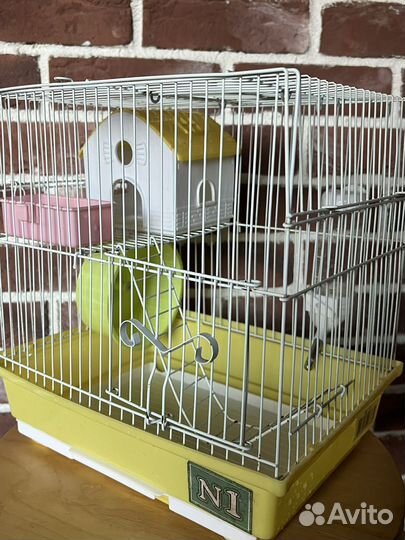Клетка для хомяка бу