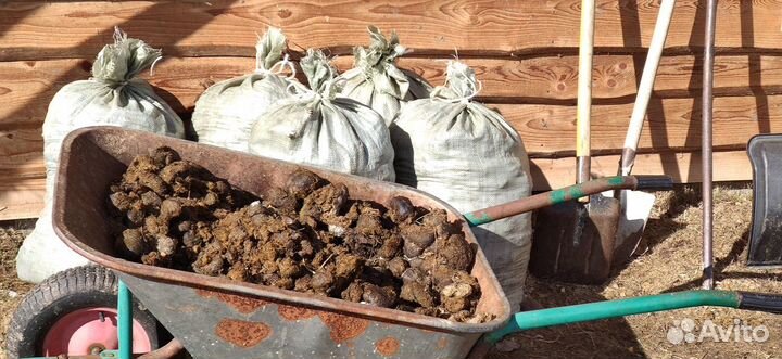 Конский навоз в мешках, с доставкой