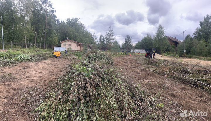 Спил деревьев, расчистка участков, дробление пней