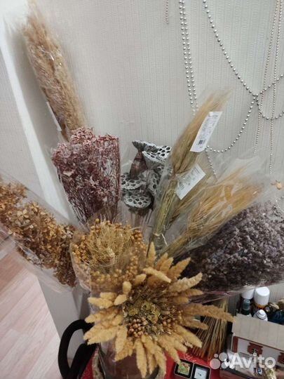 Сухоцветы