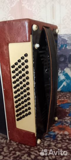 Аккордеон