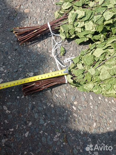 Веники для бани