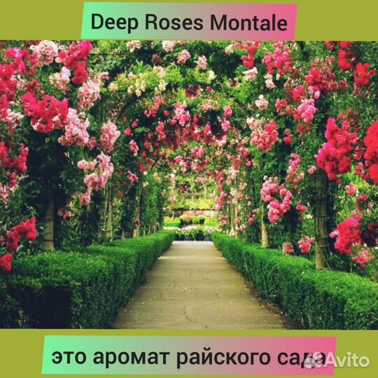 Deep Rose Montale 5 мл