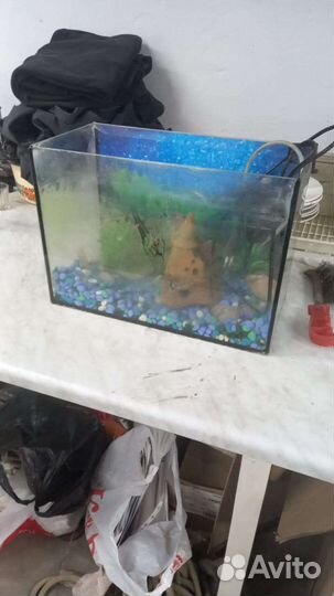 Аквариум 16 литров
