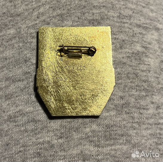 Значок Дружинник (2 вида)