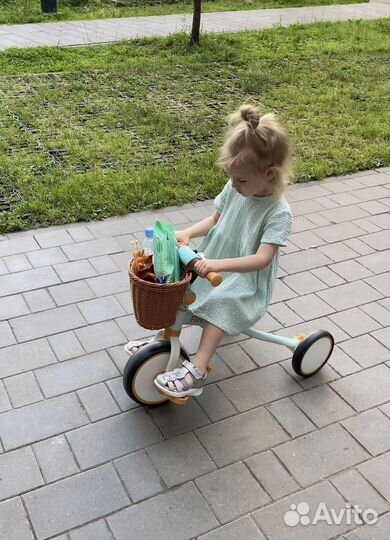 Велосипед беговел BubaGo Flint 3в1