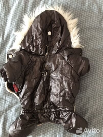 Одежда для маленьких собак