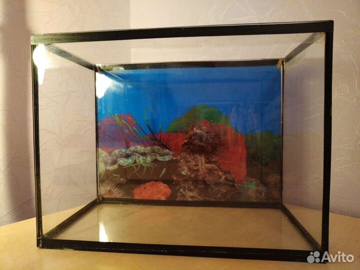 Аквариум 10 литров