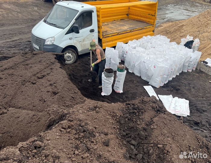 Коровий Навоз, Перегной прелый
