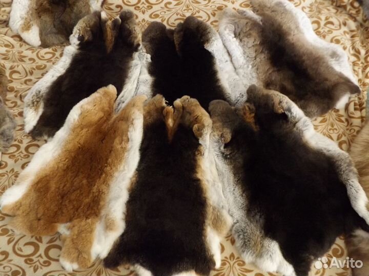 Шкурки кролика Reх (рекс)