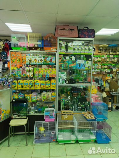 Корма для животных