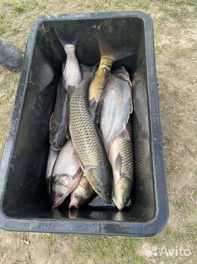 Рыбалка и отдых