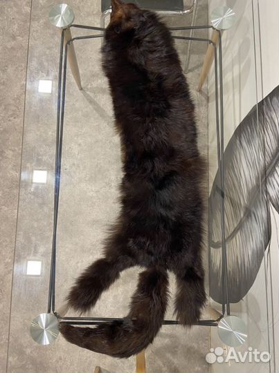 Шкурка лисы на подкладке