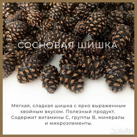 Шоколадный подарок. Пирамидки с шишкой и орехами